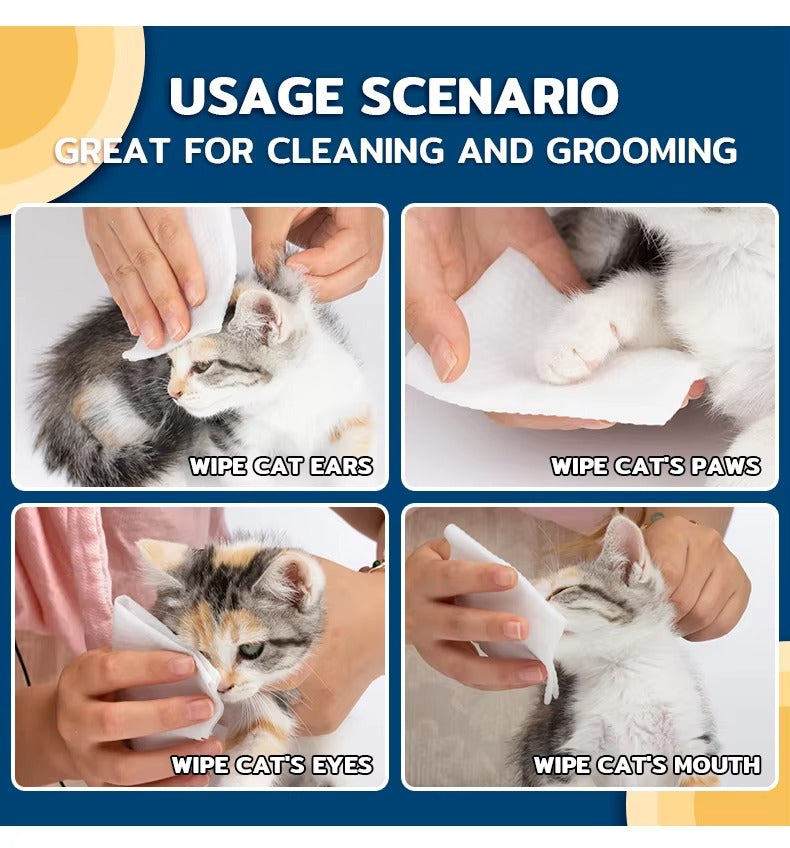 Haisen Biodegradable Pet Wet Wipes – Natural Cleaning for Cats and Dogs