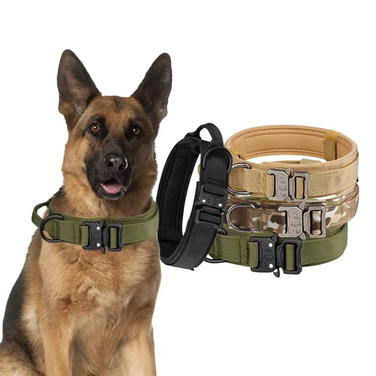 Factory Direct Sales Breathable Adjustable Reflective Nylon Dog Collars – for Small, Medium & Large Dogs