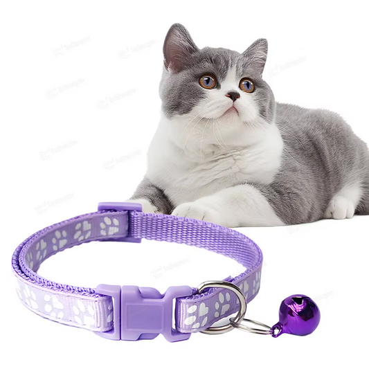 OEM/ODM Custom Printed Pet Collars – Adjustable, Fashionable, Comfortable, Durable