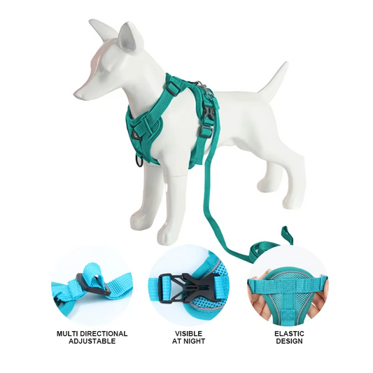 OEM/ODM Factory Wholesale Nylon Adjustable Dog Leash & Simple Reflective Dog Harness