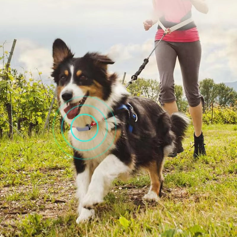 GPS Pet Locator Tracker – Anti-Lost Device, Mini, Smart Wear for Pets