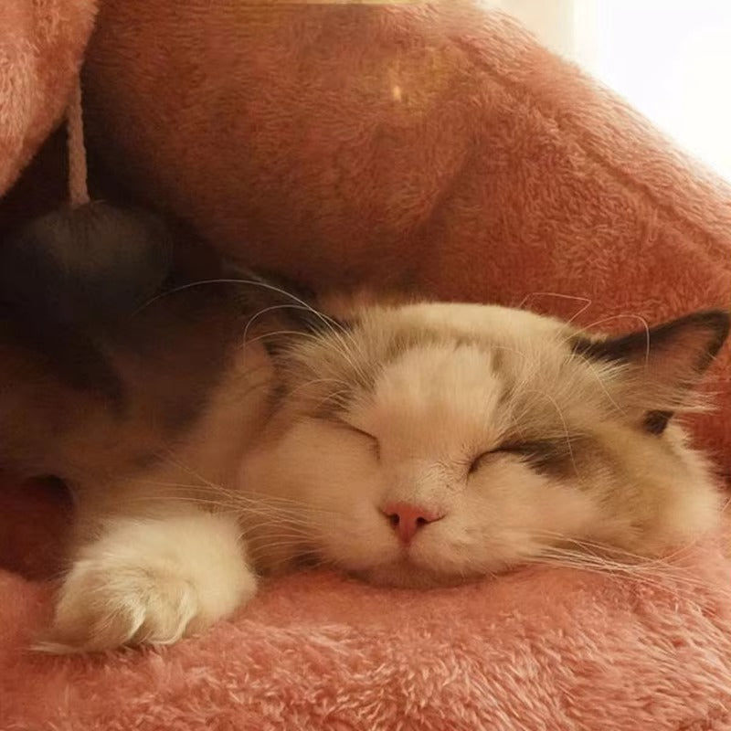 Soft Cat House (Cat Nest/Cat Bed)