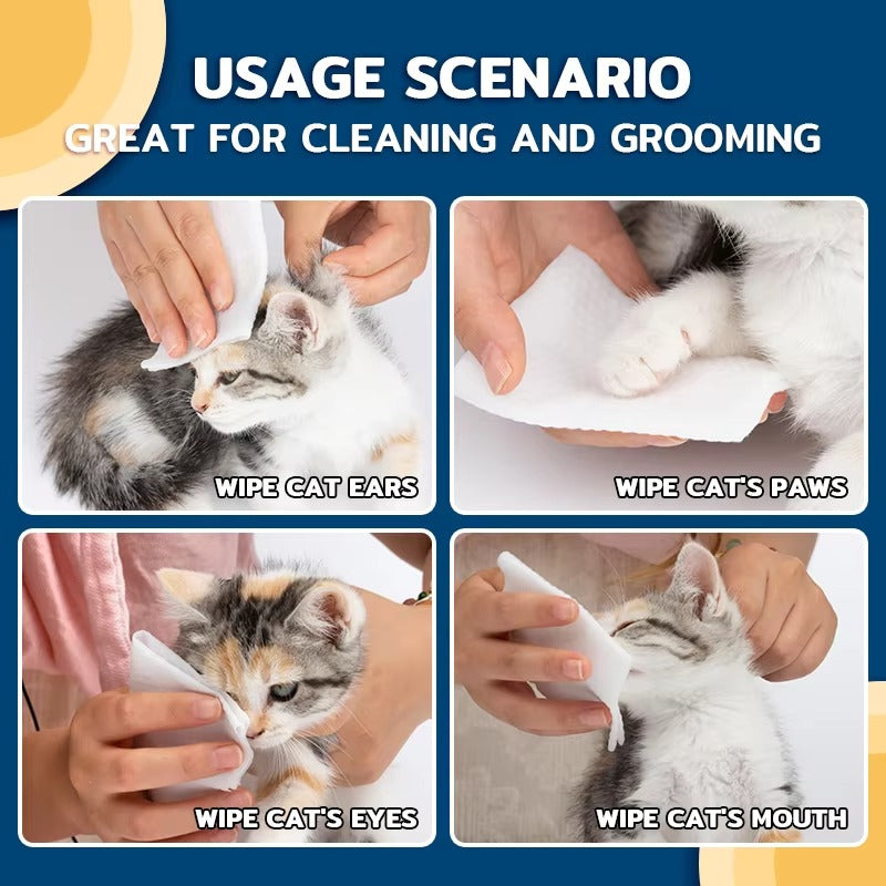 Haisen Biodegradable Pet Wet Wipes – Natural Cleaning for Cats and Dogs