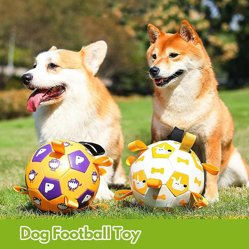 Wholesale Custom Dog Toys – Bite-Resistant Outdoor Football (Interactive)