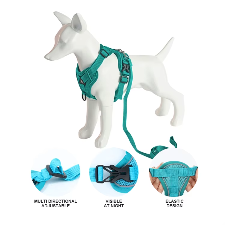OEM/ODM Factory Wholesale Nylon Adjustable Dog Leash & Simple Reflective Dog Harness